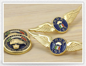 3D Pin Badges