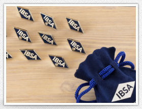 Rhinestone Lapel pins and bag.